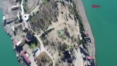 Adana'da Seyhan Baraj Gölü'ndeki Amerikan