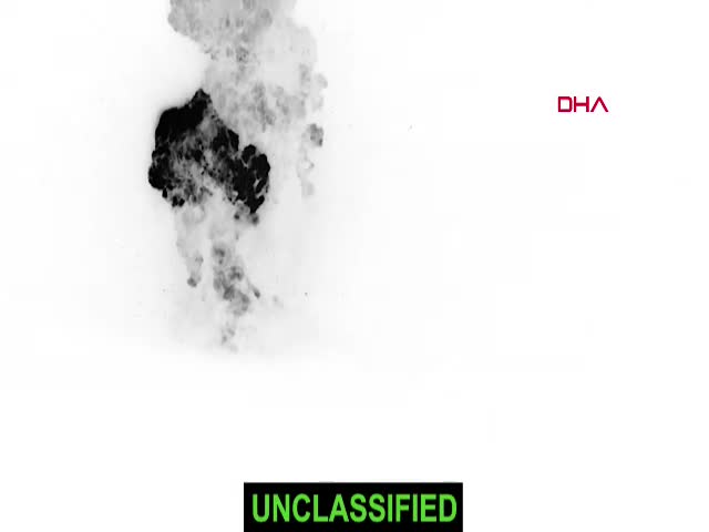 ABD, Suriye'de DEAŞ örgütünü