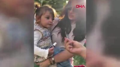 Marmarabirlik Başkanı Ali Yıldız, 65