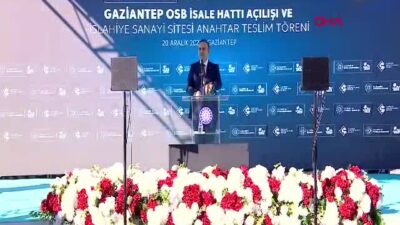 Sanayi ve Teknoloji Bakanı Mehmet