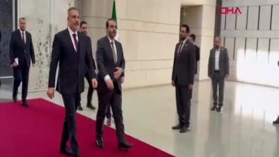 Dışişleri Bakanı Hakan Fidan, Milli