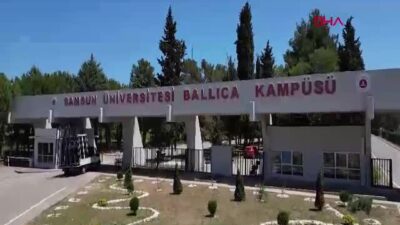 Samsun'da eski tütün hangarları, Samsun