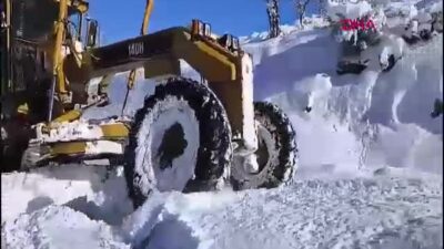 Bingöl'de etkili olan kar yağışı