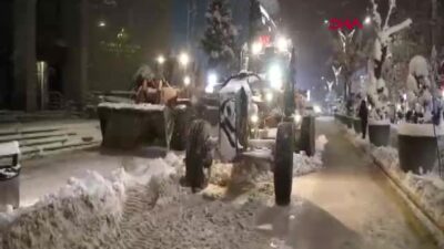 Van'da etkili olan kar yağışı