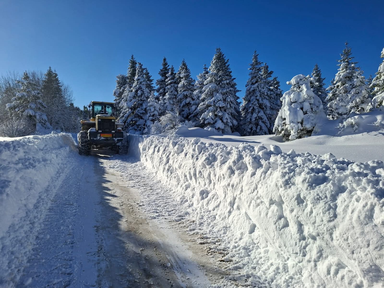 Kastamonu'da yoğun kar yağışı 328