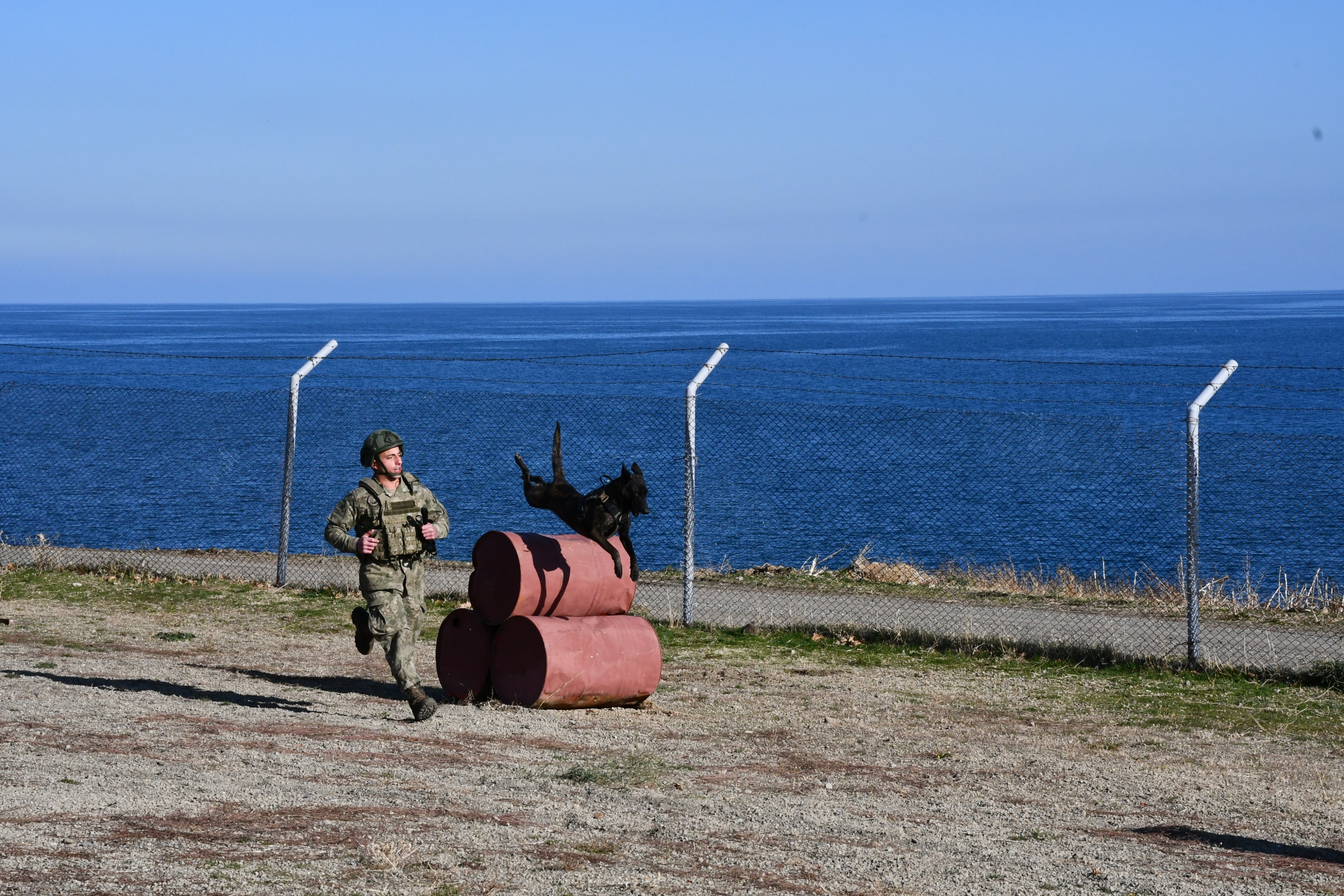 Milli Savunma Bakanlığı, Bitlis'teki 10'uncu