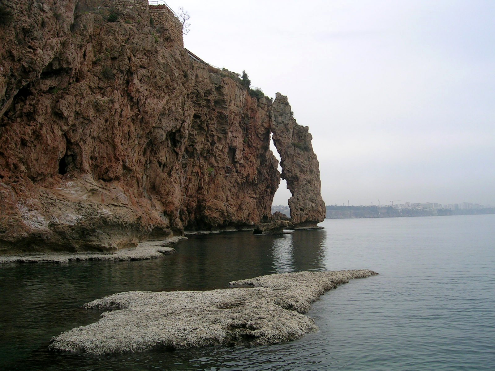 Akdeniz Üniversitesi'nden Prof. Dr. Nihat