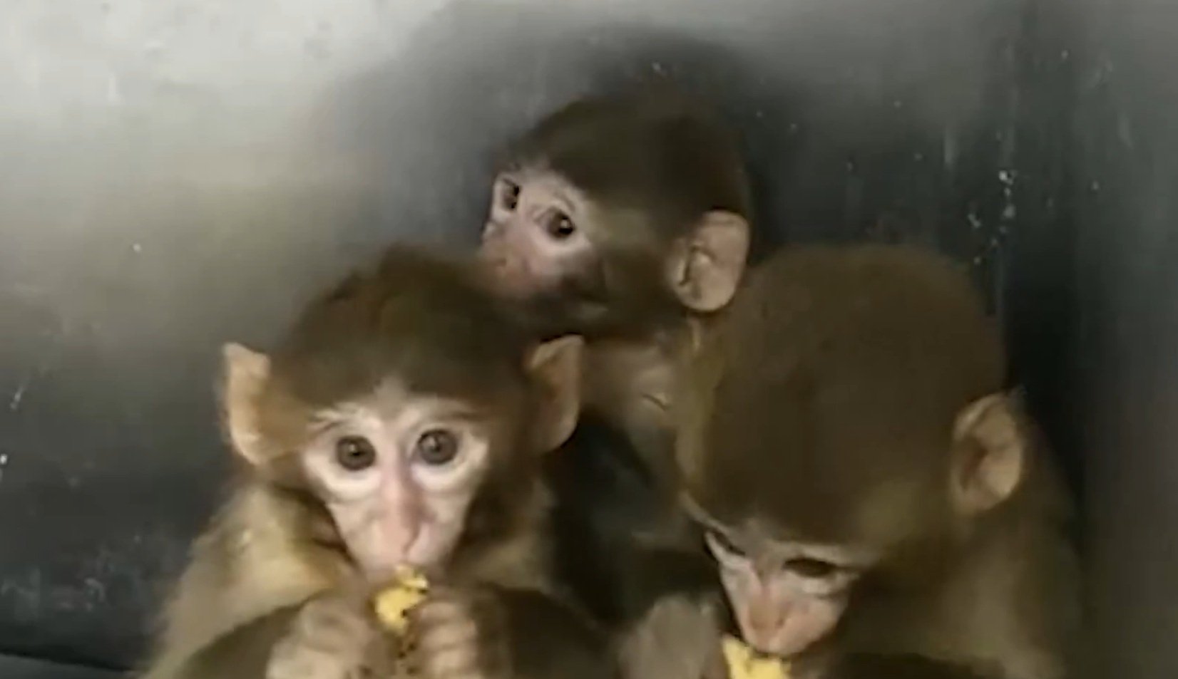 Tarım ve Orman Bakanlığı, Bursa'da