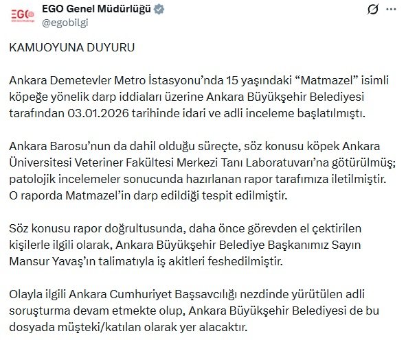 Ankara'da sokak köpeği Matmazel'in darp