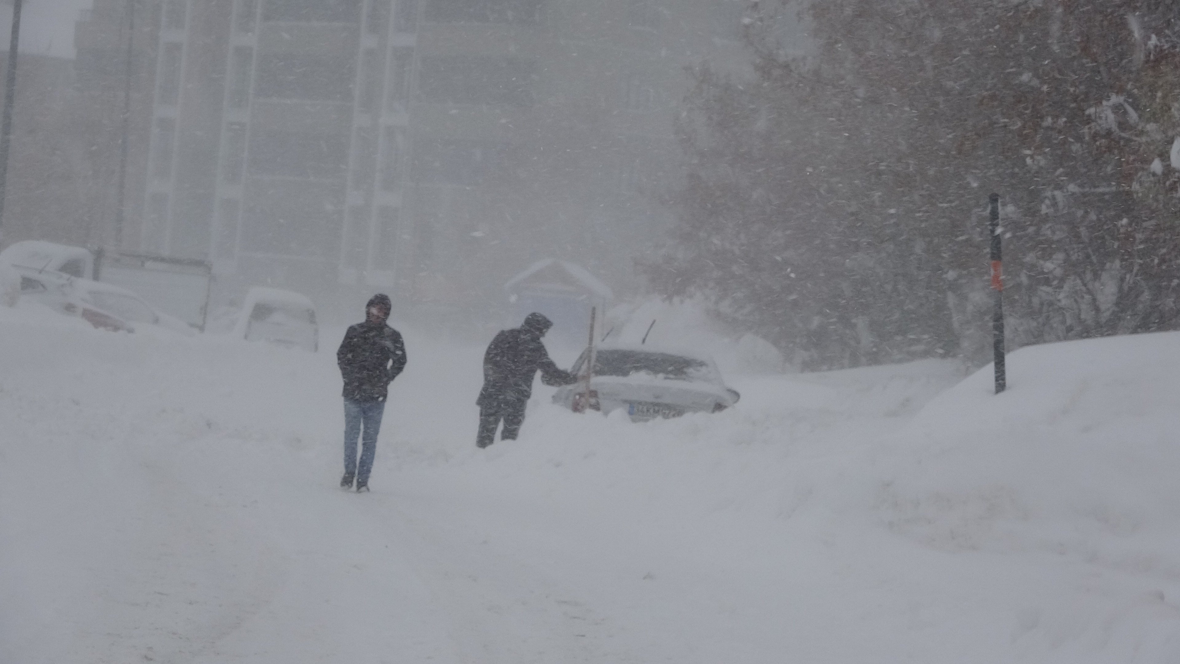 Bitlis Valiliği, yoğun kar yağışı