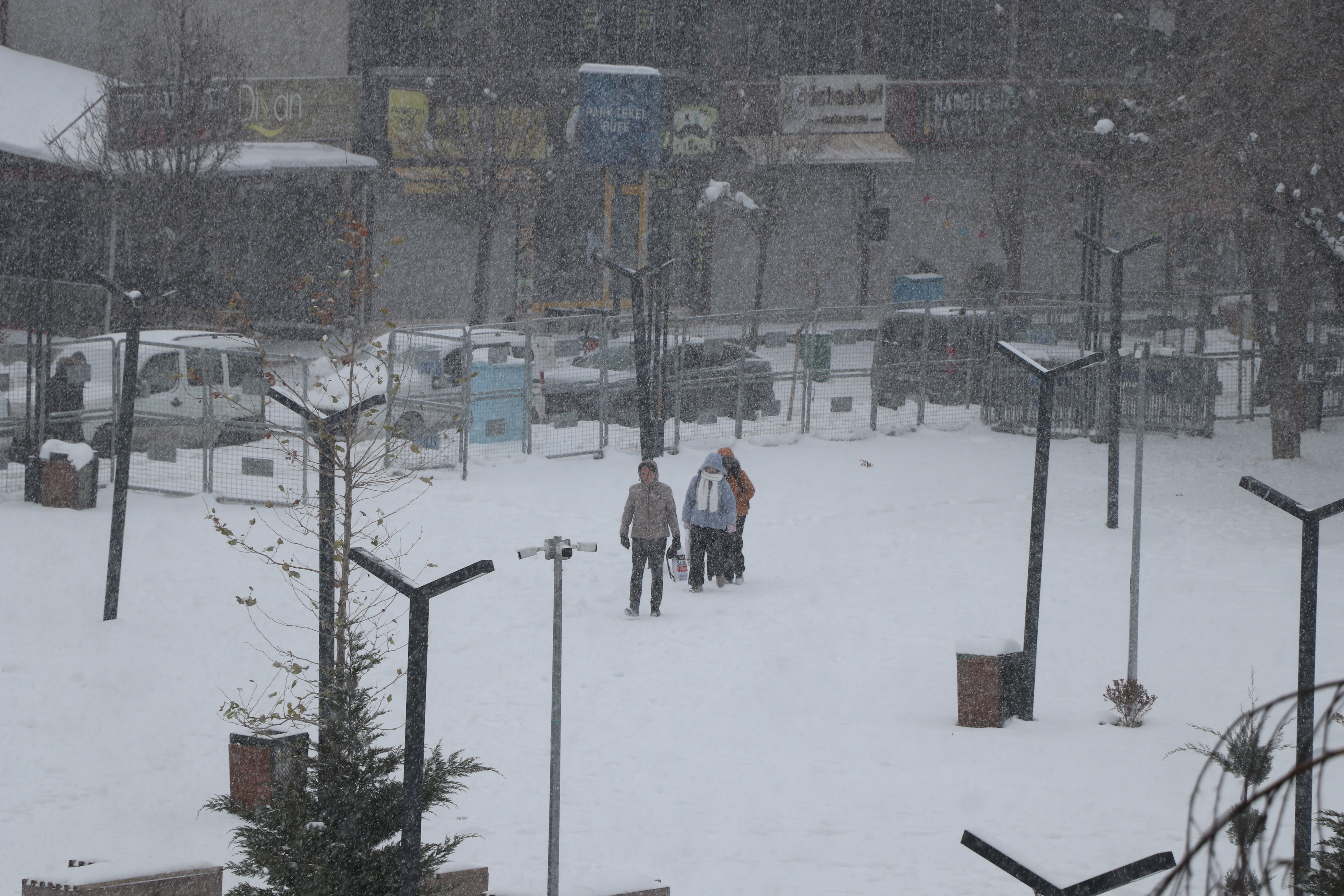 Van'da etkili olan kar yağışı