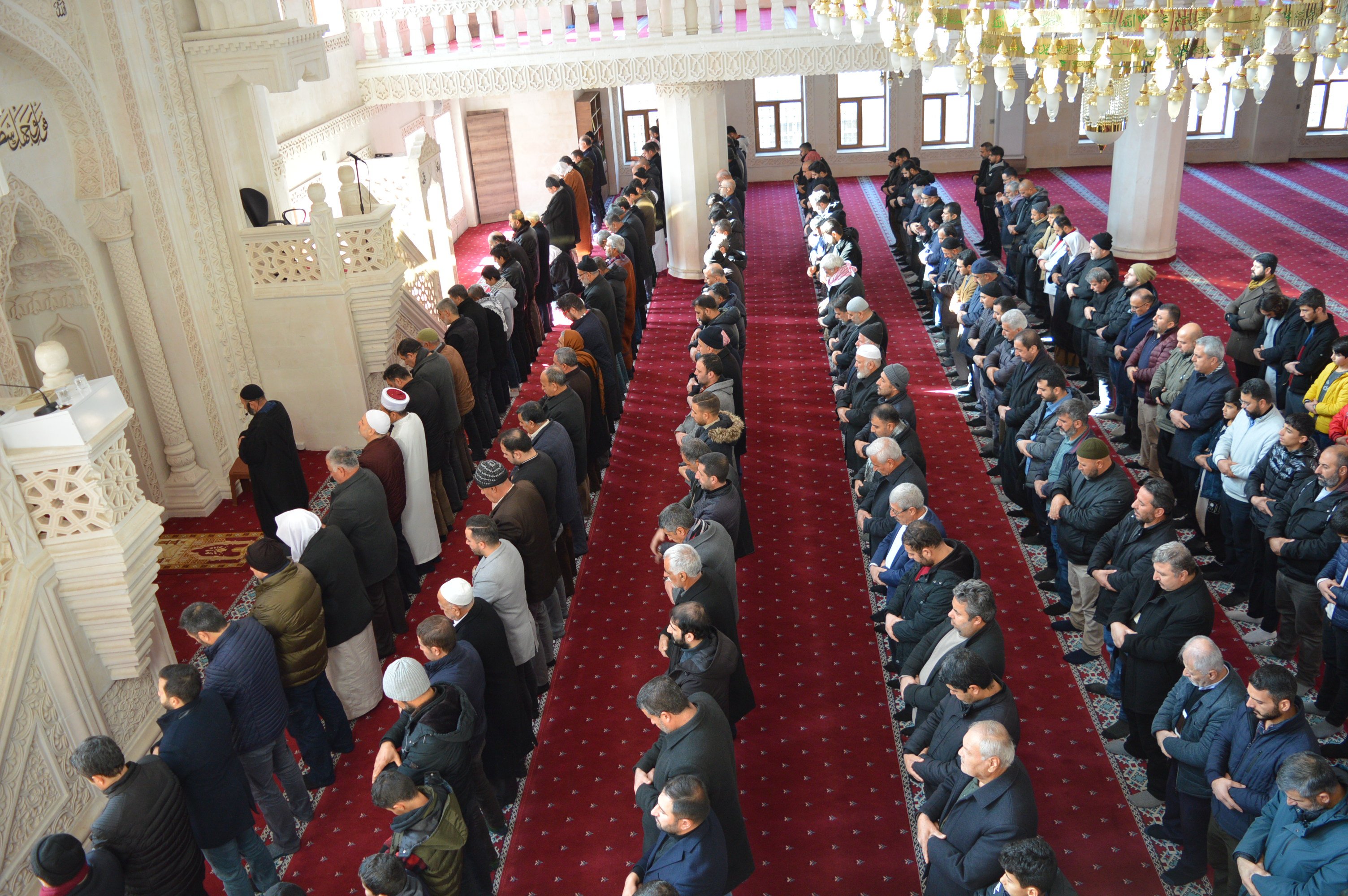 Filistinli Dr. Mahmut Çelebi,