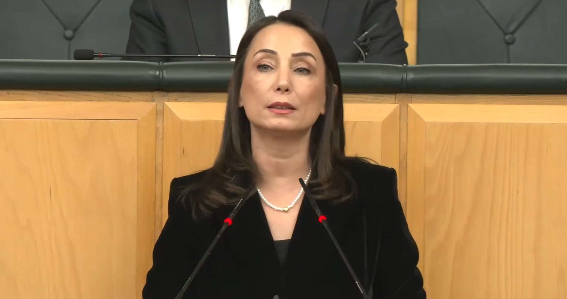 DEM Parti Eş Genel Başkanı