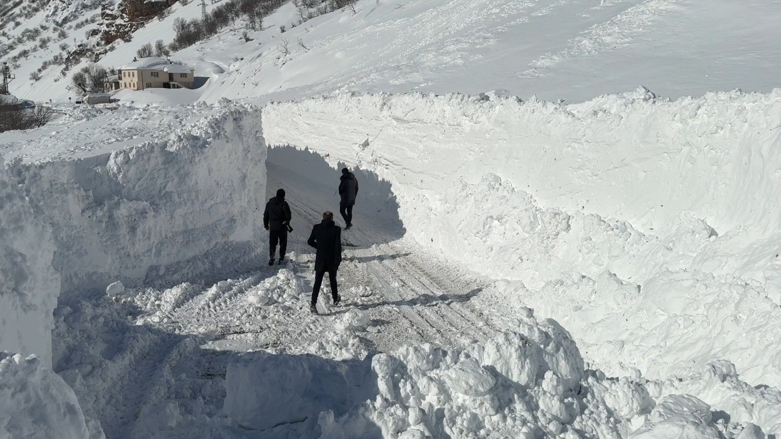 Van'ın Çatak ilçesinde çığ