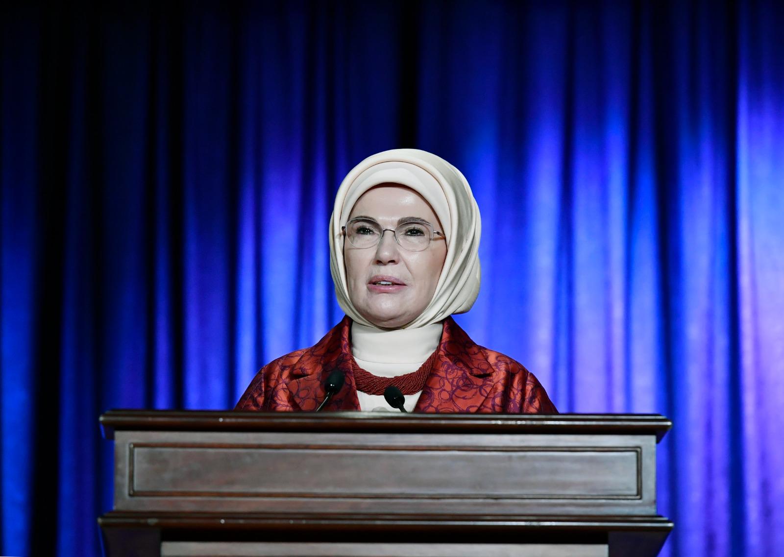 Emine Erdoğan, Palet Türk Müziği