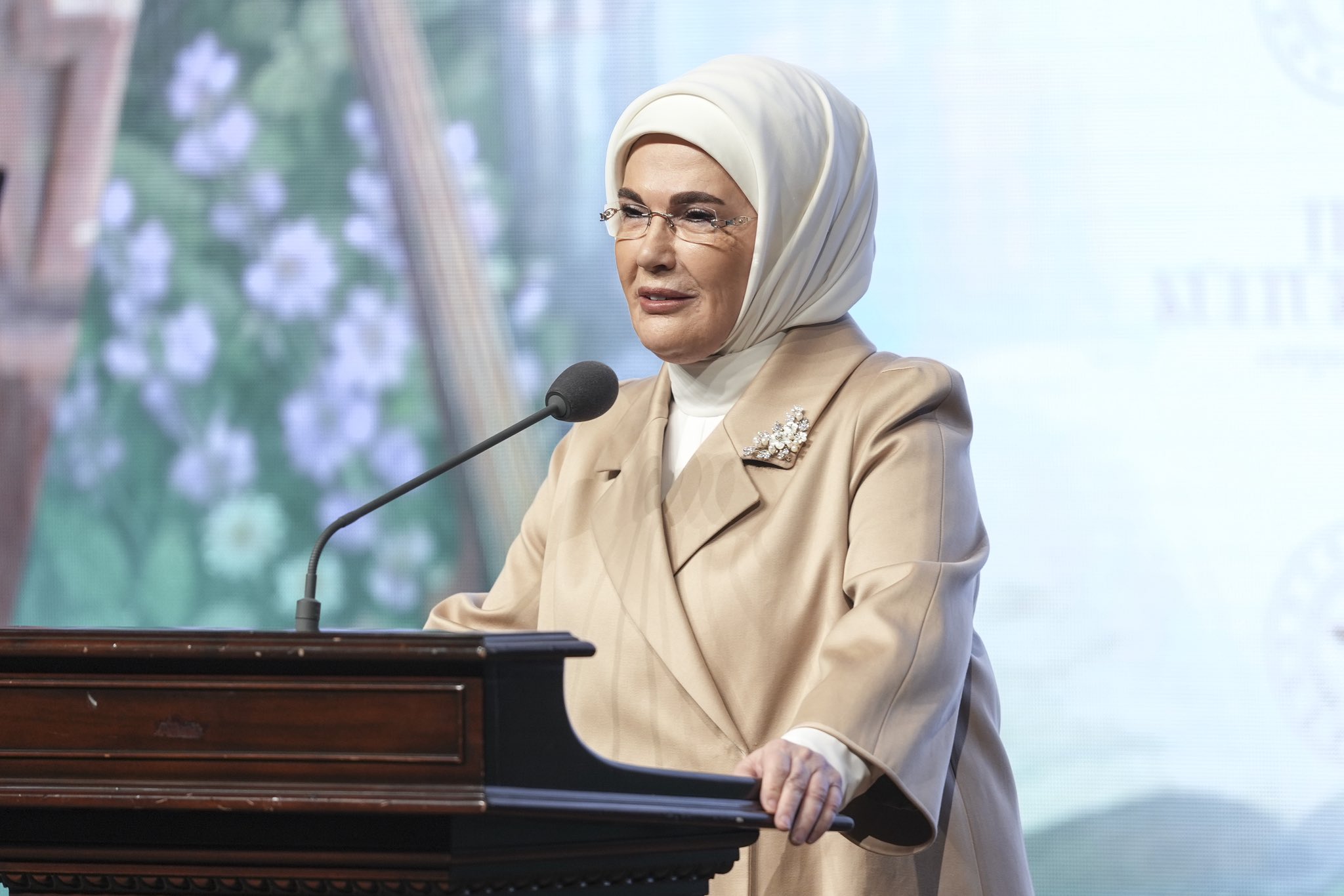 Emine Erdoğan, Tıp ve Kültür-Sanat