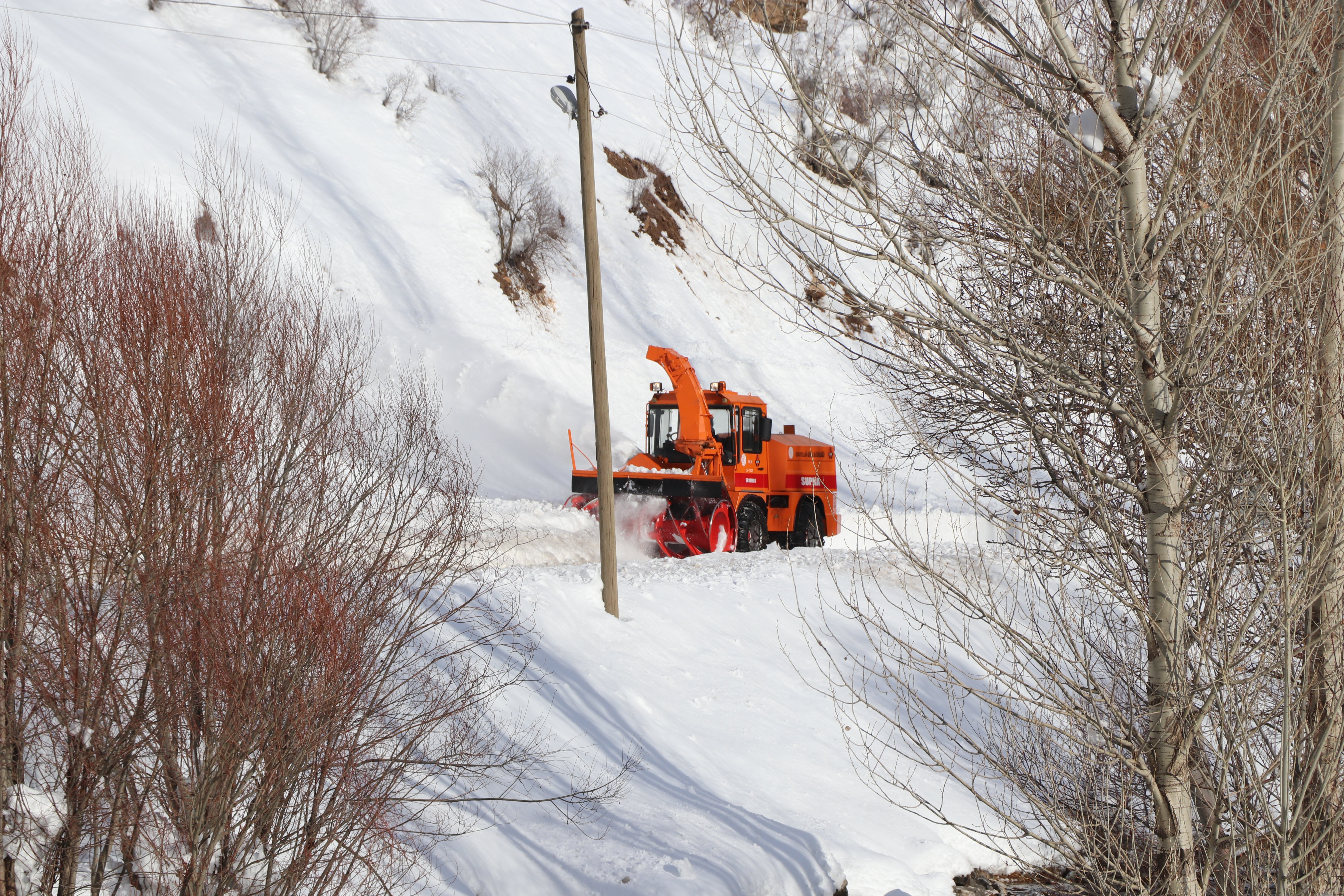 Van ve Bitlis'te kar