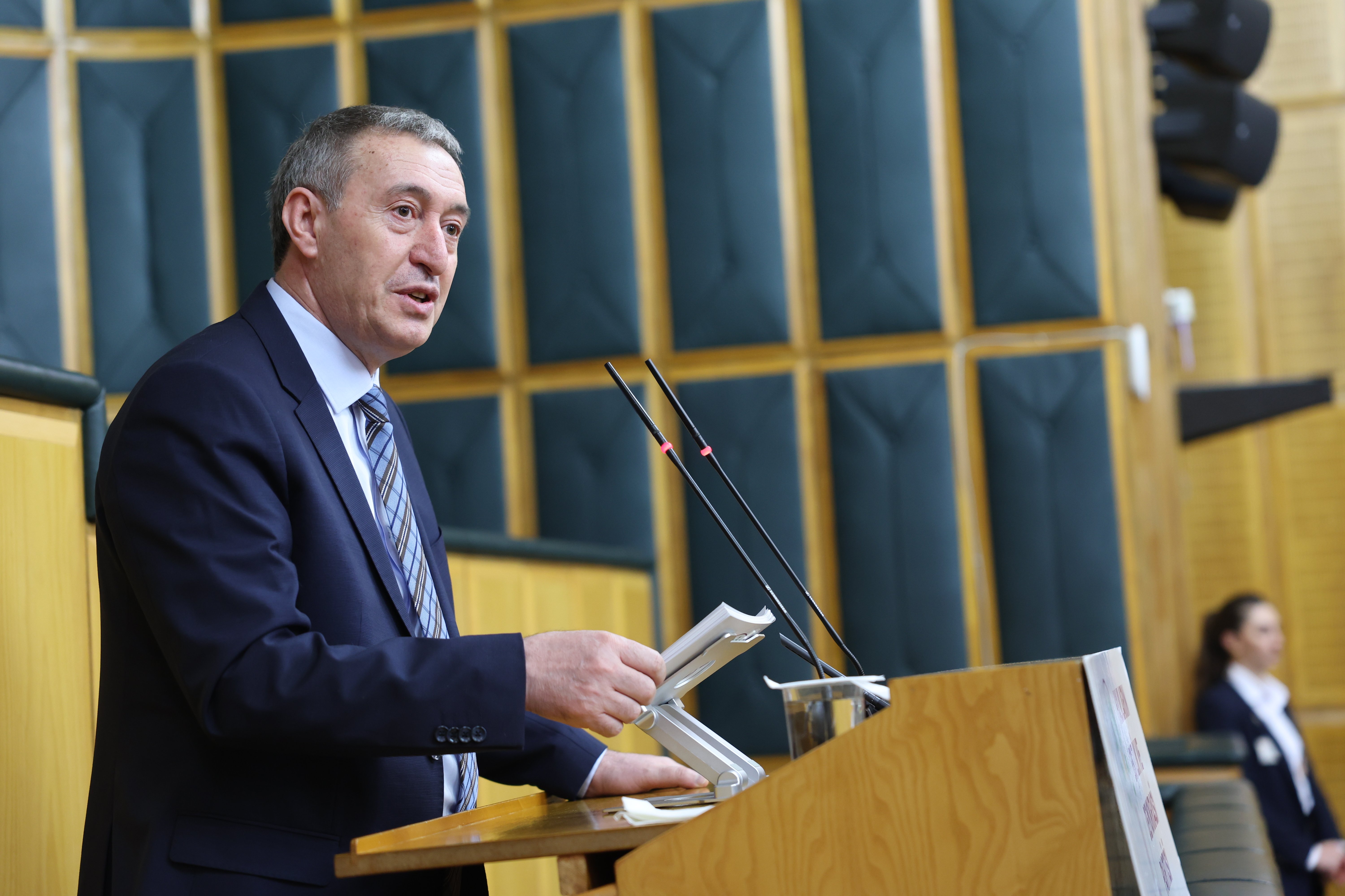 DEM Parti Eş Genel Başkanı