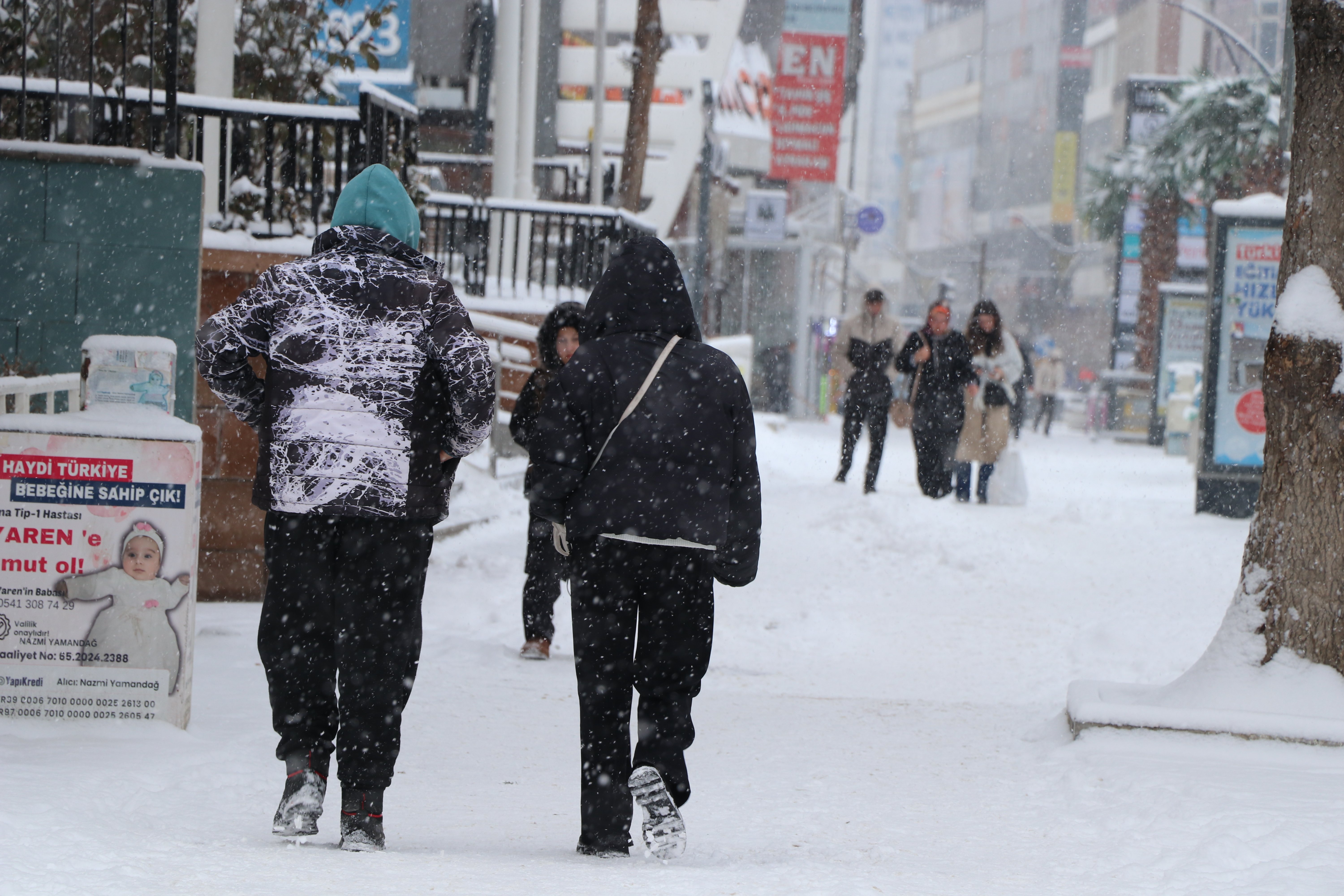 Van'da etkili olan kar yağışı
