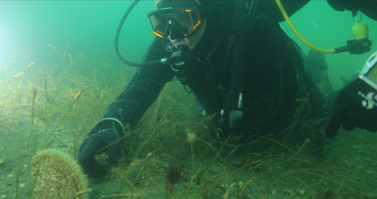 Kocaeli Büyükşehir Belediye Başkanı Tahir
