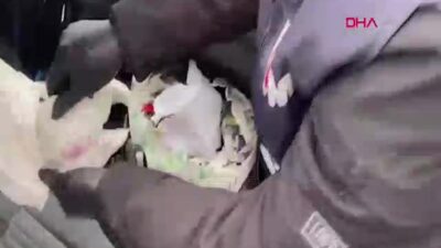 Edirne'nin Kapıkule Sınır Kapısı'nda düzenlenen