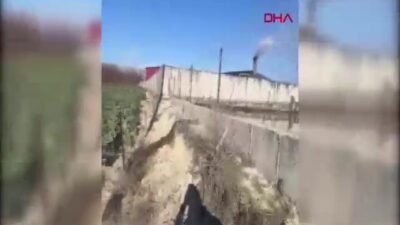 Çevre Bakanlığı, Göksu Nehri'ne zeytin