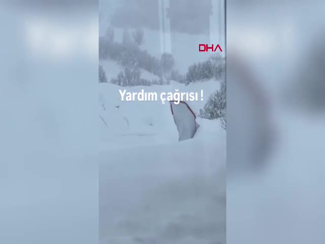 Tunceli Valiliği, sosyal medyadaki