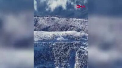 Tarım ve Orman Bakanlığı, İzmir'in