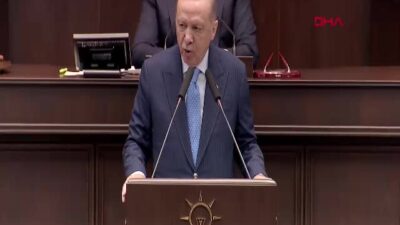 Cumhurbaşkanı Recep Tayyip Erdoğan, AK