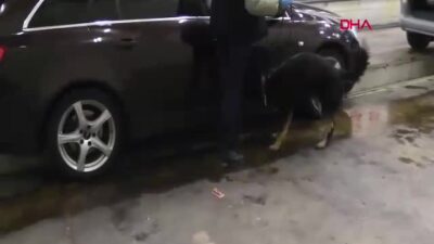 Edirne Kapıkule Sınır Kapısı'nda düzenlenen