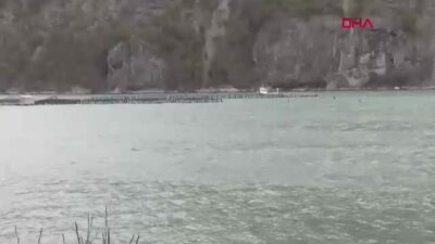 Tarım ve Orman Bakanı İbrahim