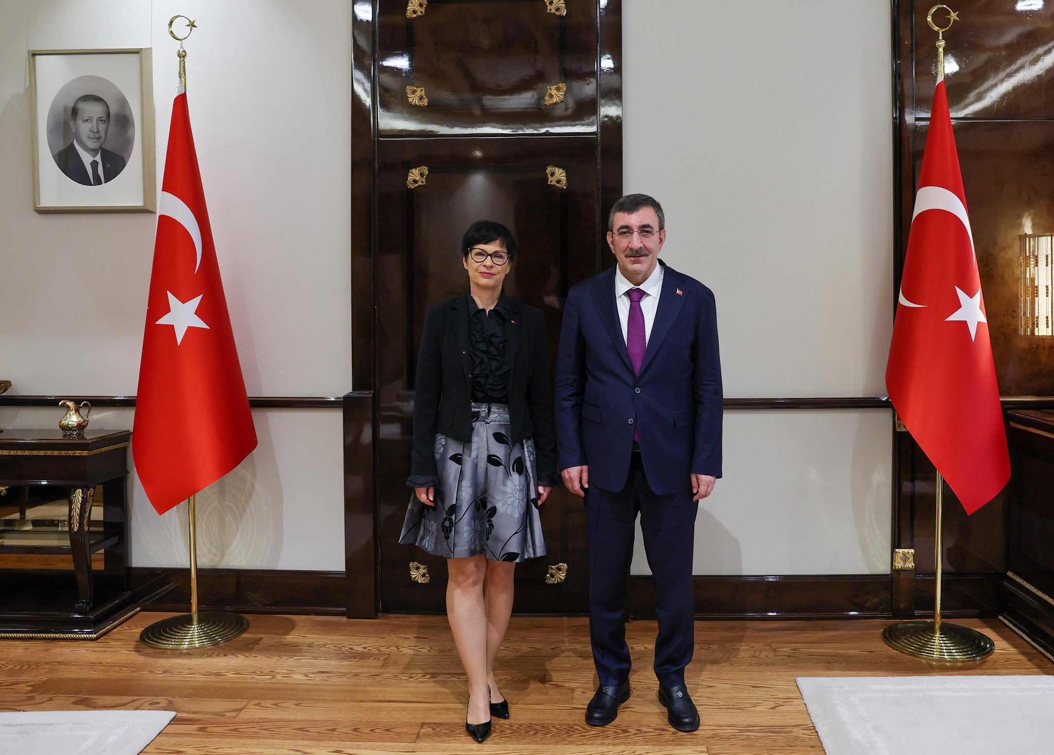 Cumhurbaşkanı Yardımcısı Cevdet Yılmaz, AB