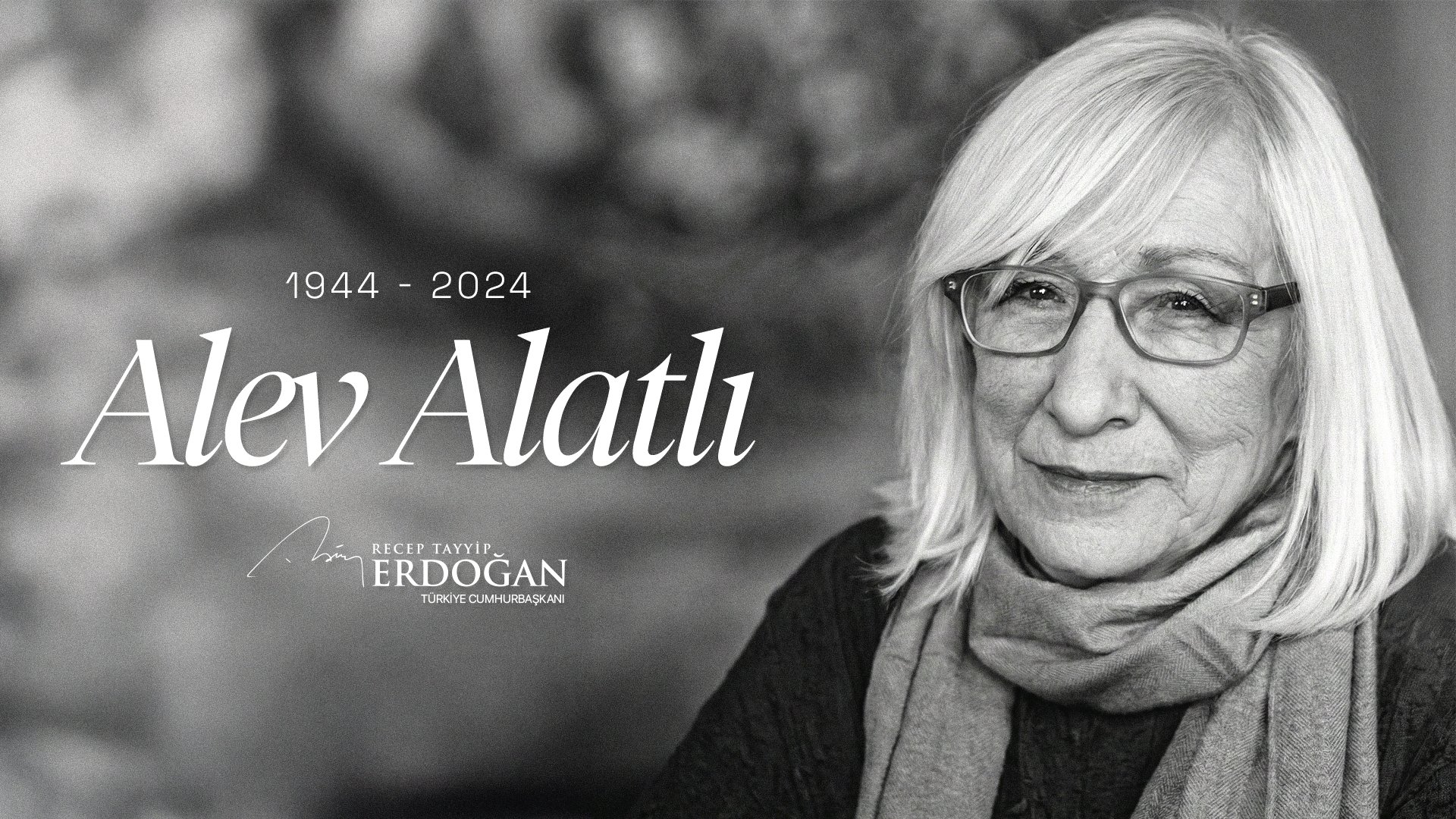 Cumhurbaşkanı Recep Tayyip Erdoğan, yazar