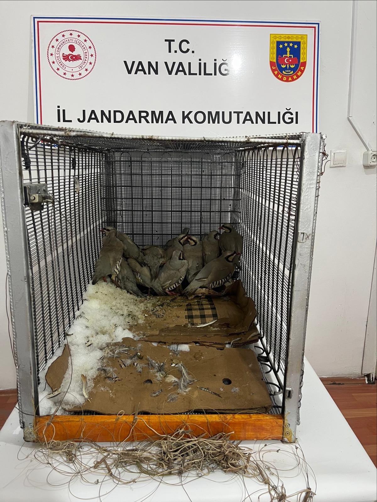 Van'ın Muradiye ilçesinde jandarma, 14