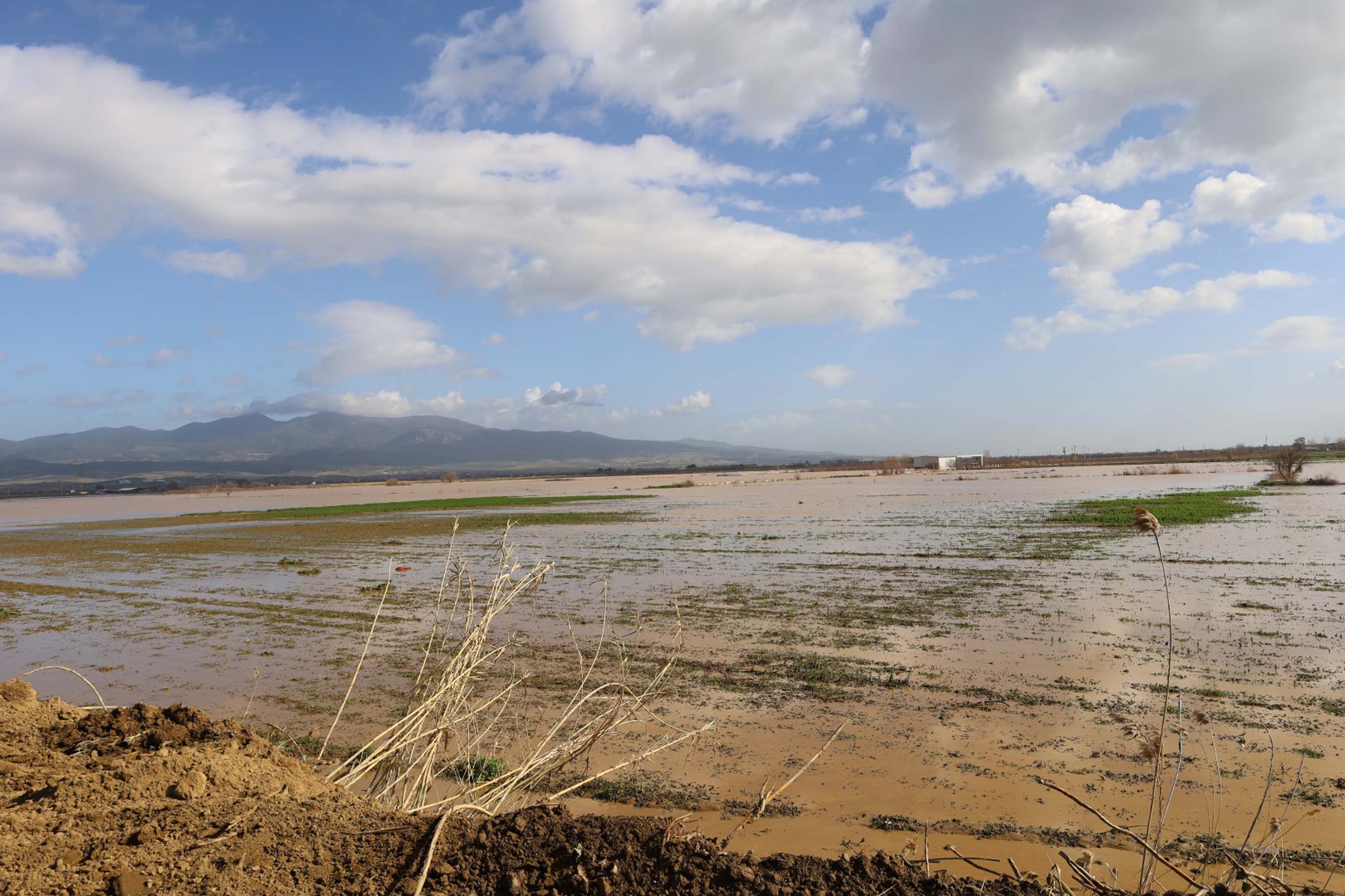 Manisa'nın Turgutlu ilçesinde Irlamaz Çayı'nın