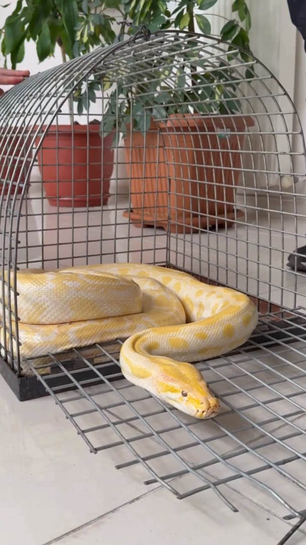 DKMP ekipleri, Denizli'de bir AVM'de