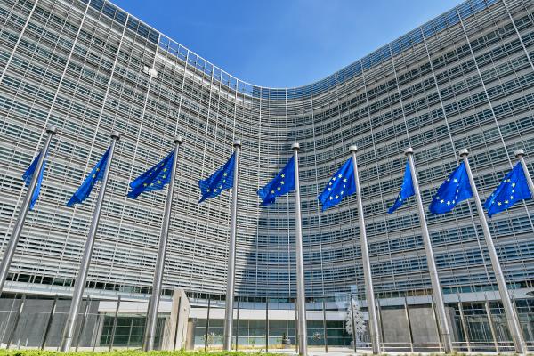 Avrupa Birliği, İsrail'in Gazze'deki ateşkes