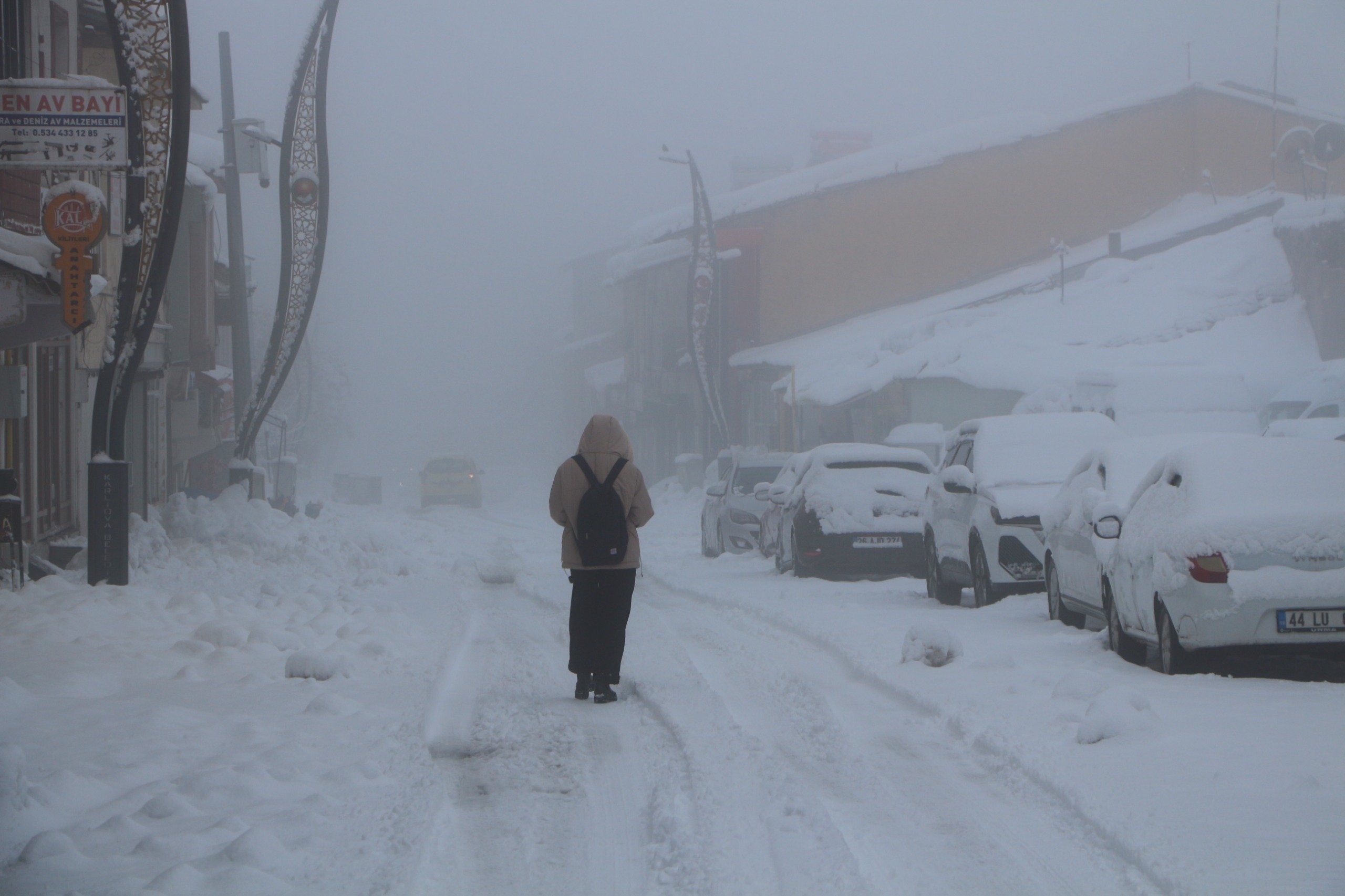 Bingöl'ün Karlıova ilçesinde yoğun kar