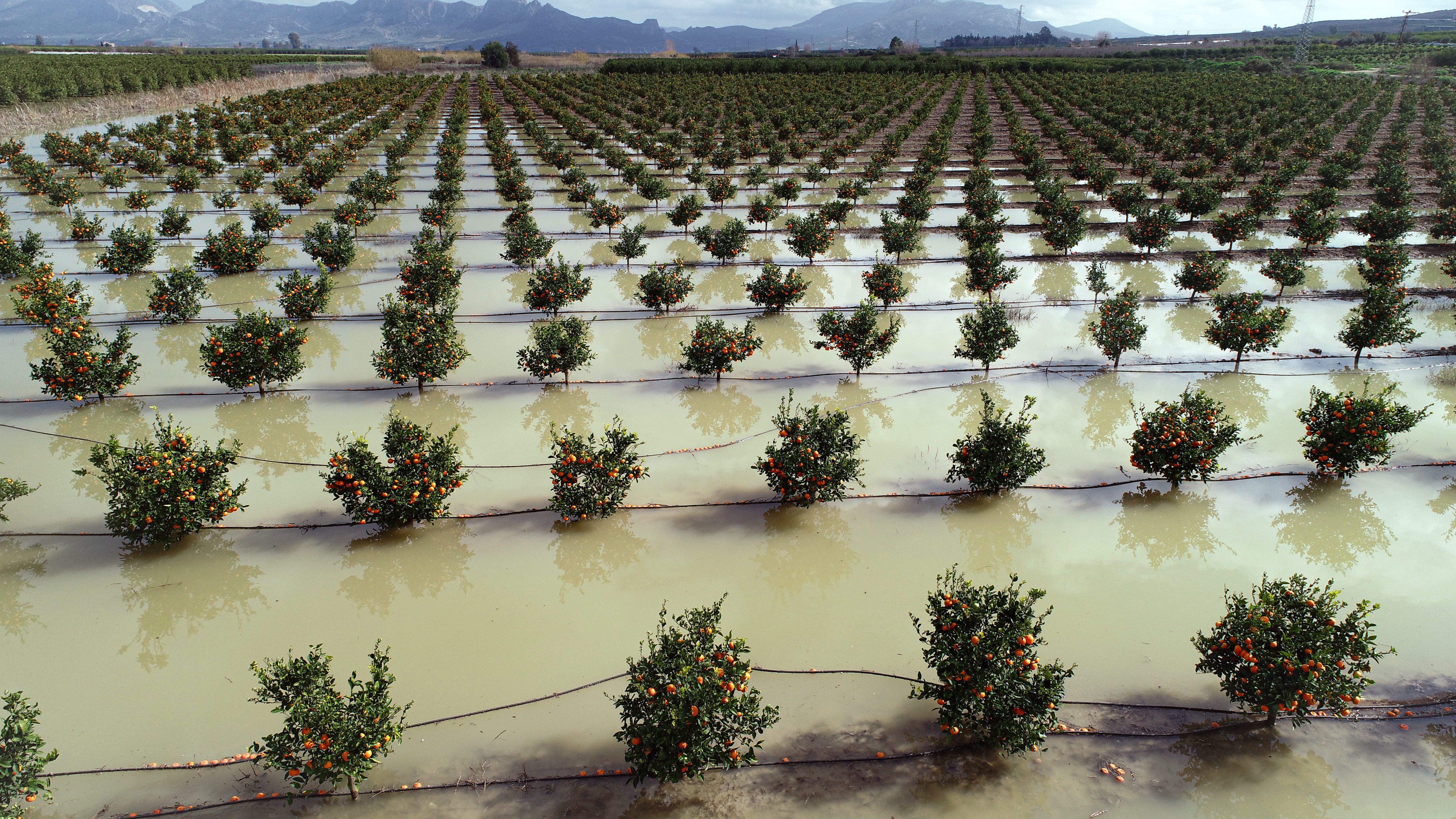 Adana'da etkili olan sağanak yağışlar