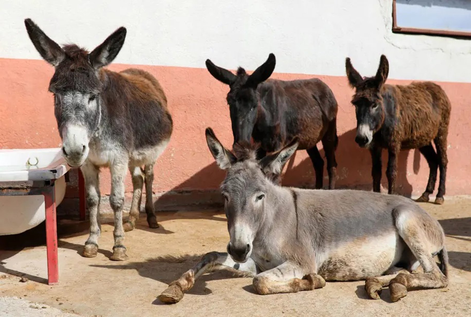 TÜİK'in açıkladığı son verilere göre,