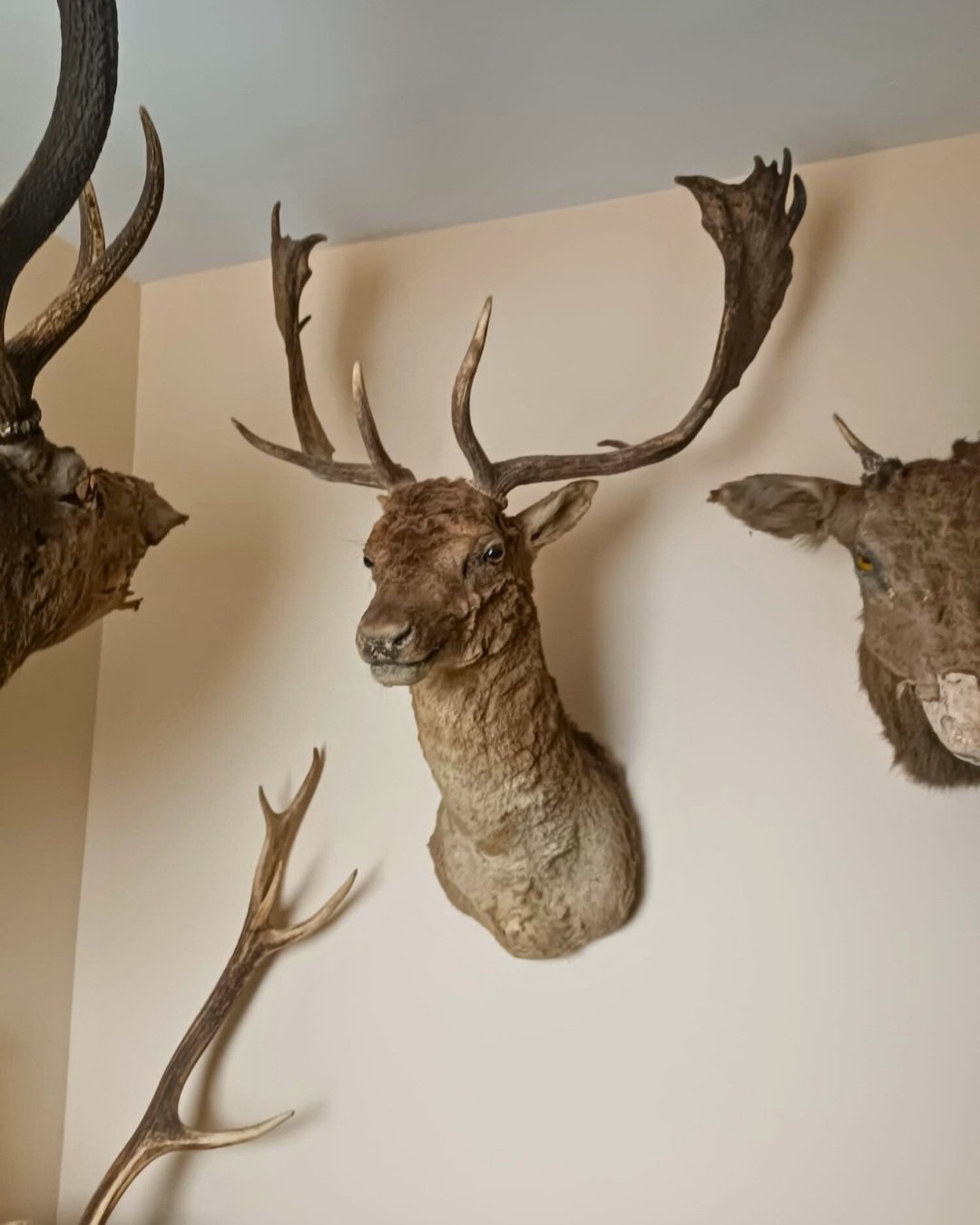 DKMP ekipleri Tekirdağ Saray'da düzenlediği