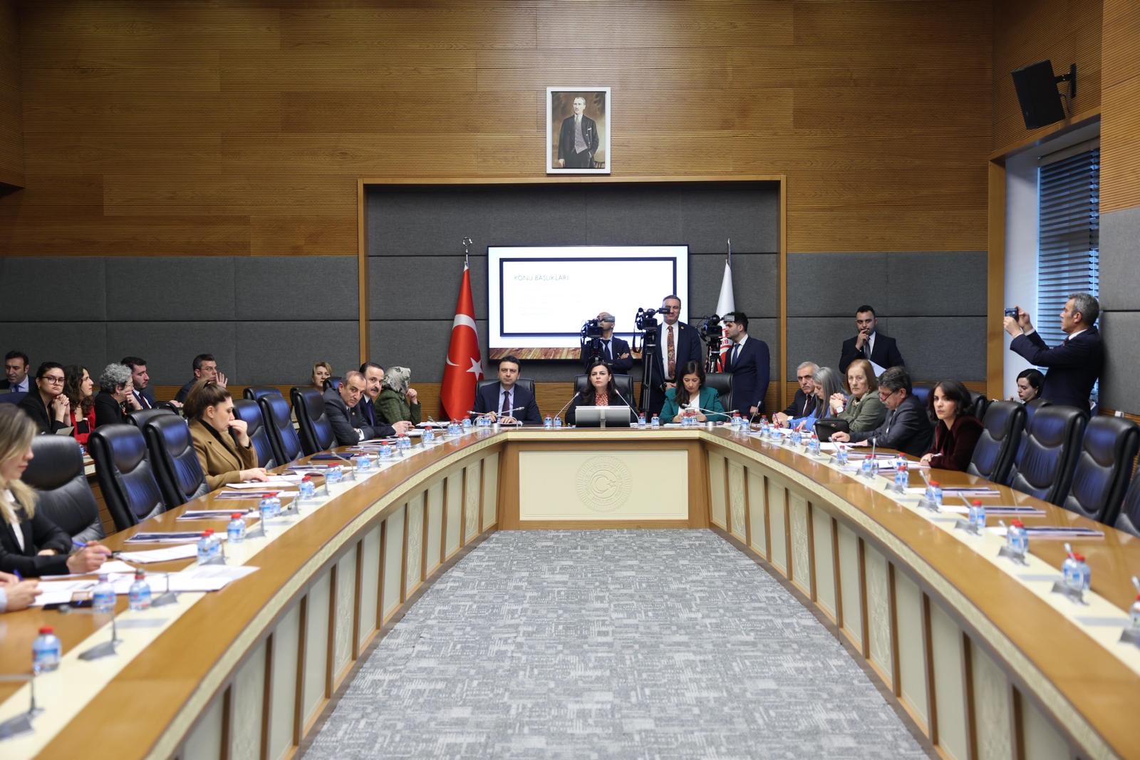 TBMM komisyonunda sunum yapan Dr.