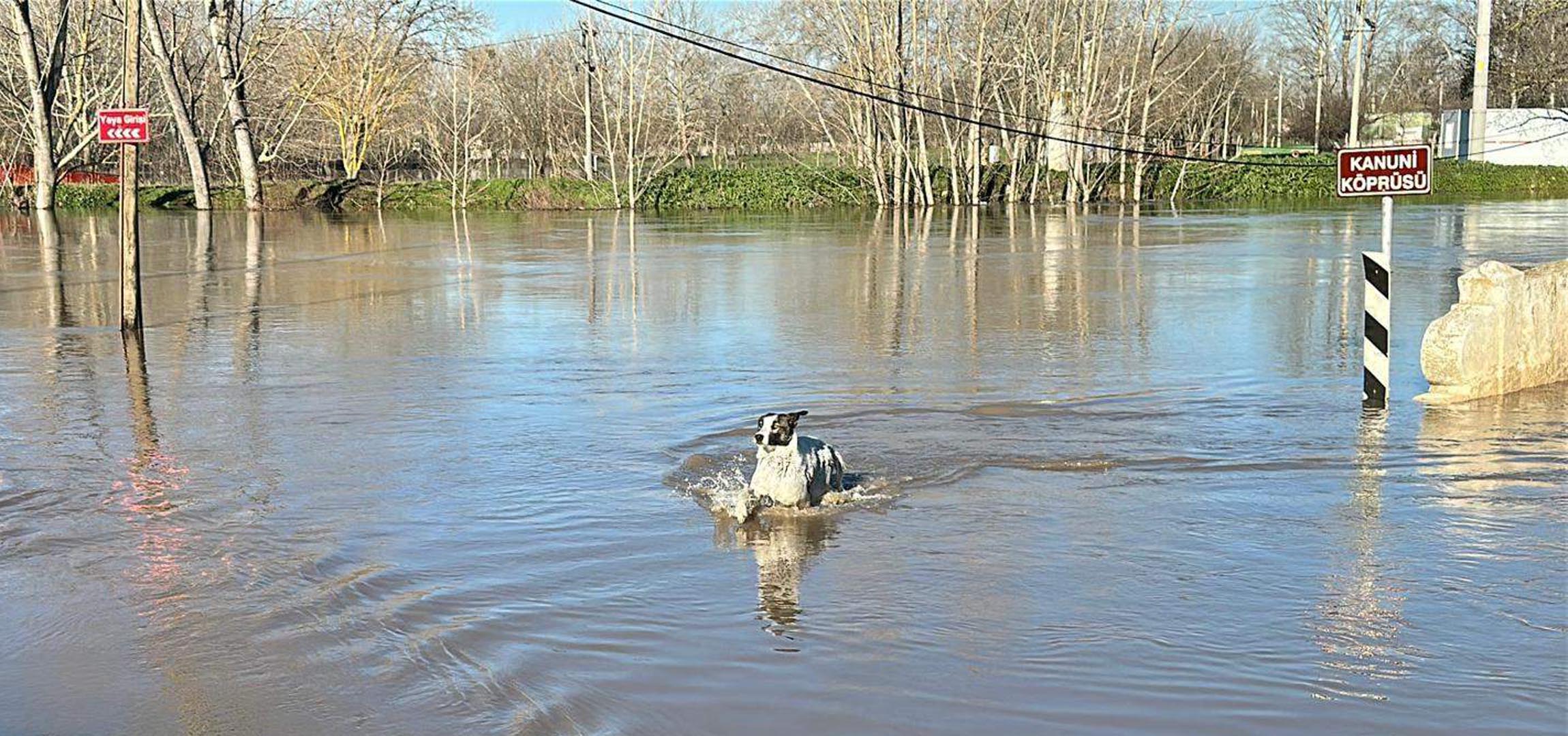 Edirne'de Tunca Nehri taştı, kırmızı