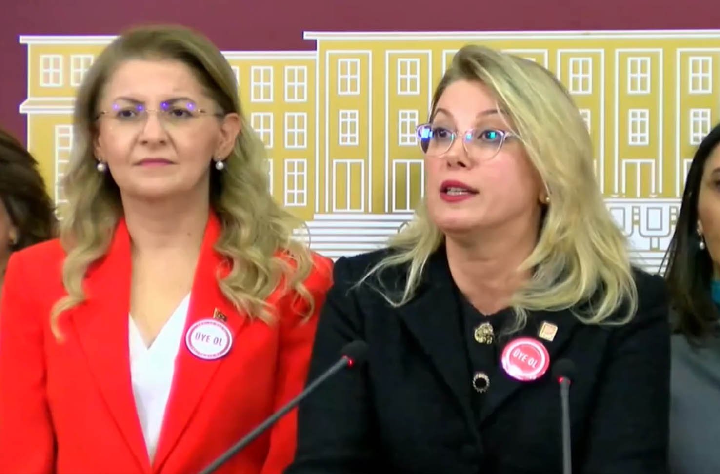 CHP'li Asu Kaya, Türk Medeni