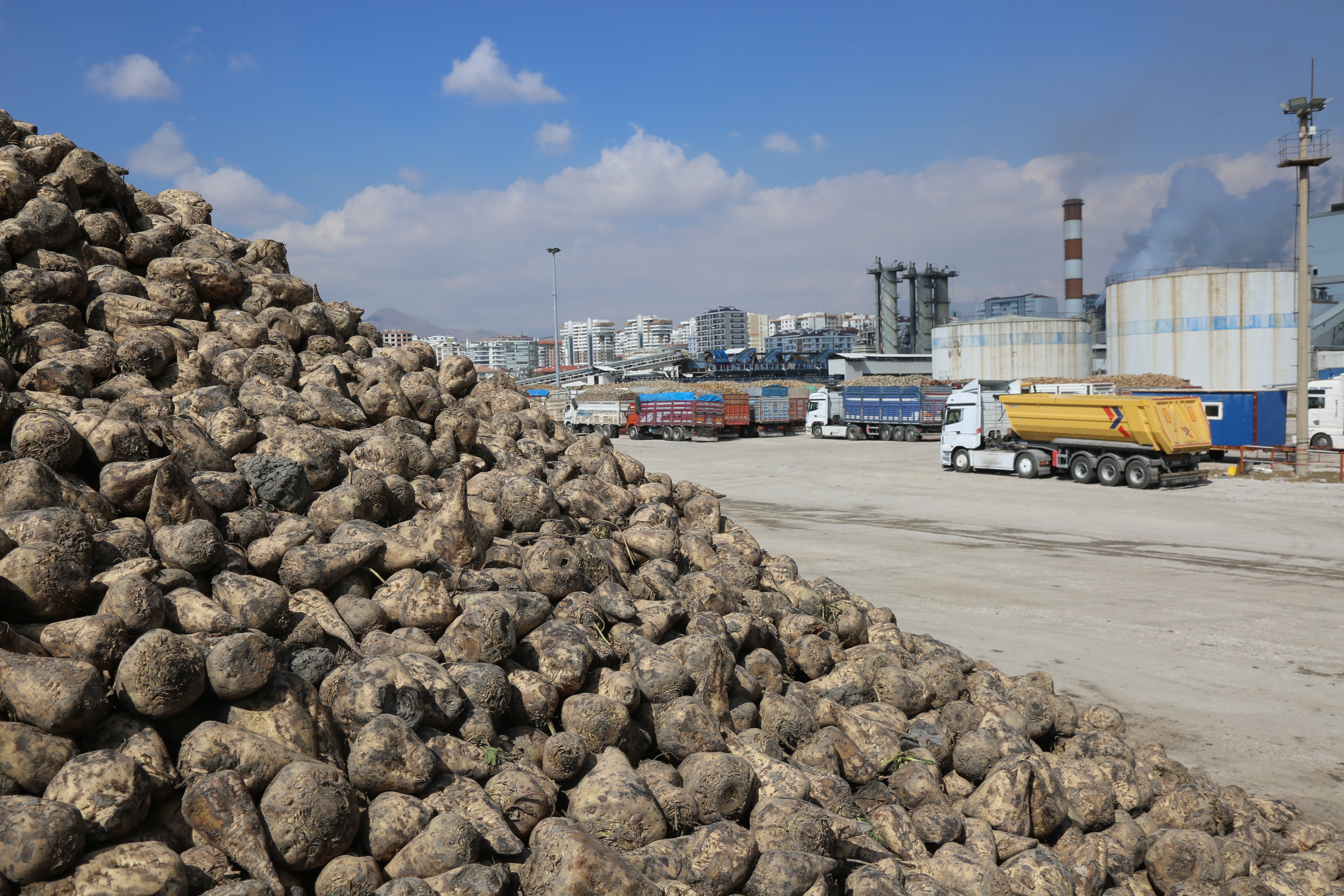 Konya Şeker, üretici ortaklarına 12.7