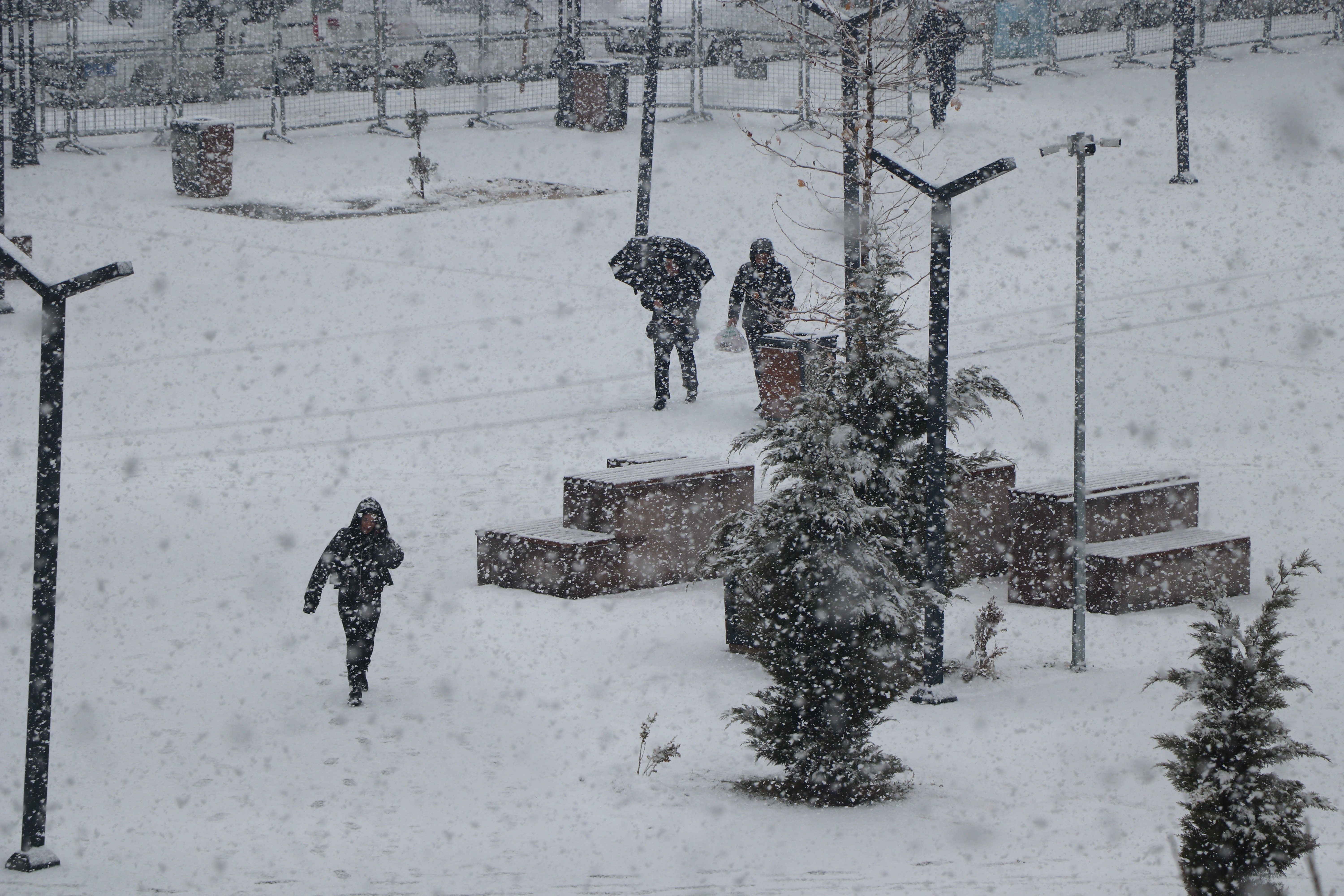 Van'da etkili olan kar yağışı