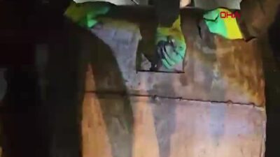 İçişleri Bakanlığı koordinasyonunda Şırnak'ta düzenlenen