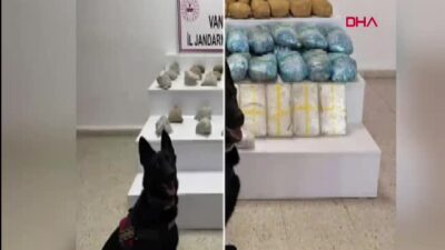 Van İl Jandarma Komutanlığı, son