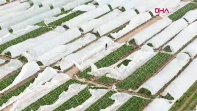 Antalya'da geçen hafta etkili olan