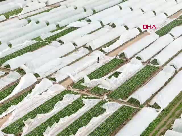 Antalya'da geçen hafta etkili